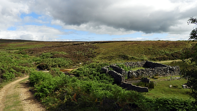 Carlesmoor Beck on Kirkby Malzeard Moor