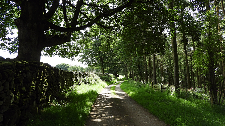 The lane to Carlesmoor