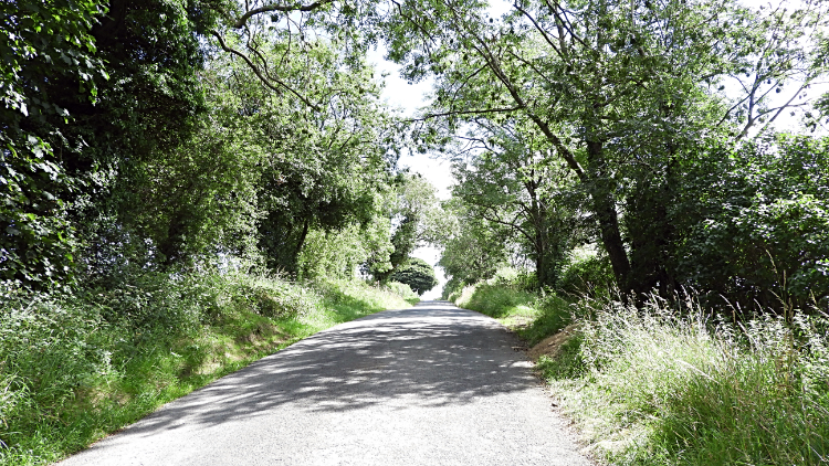 Greystone Head Road to Kirkby Malzeard