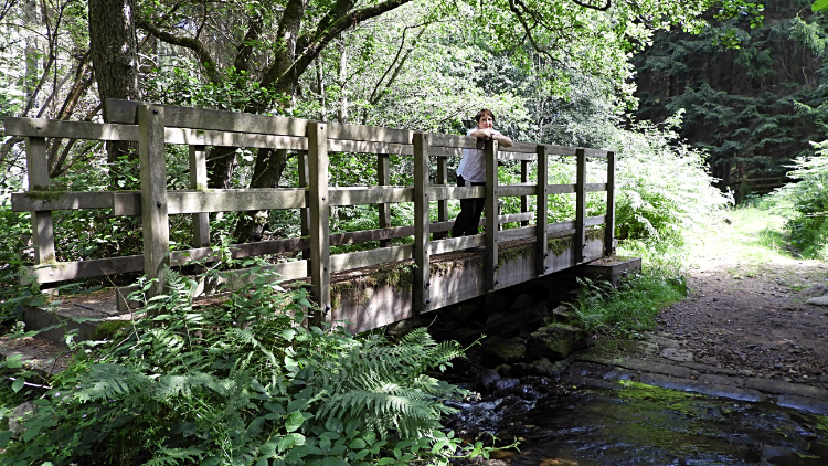 Footbridge over Dallow Gill Beck