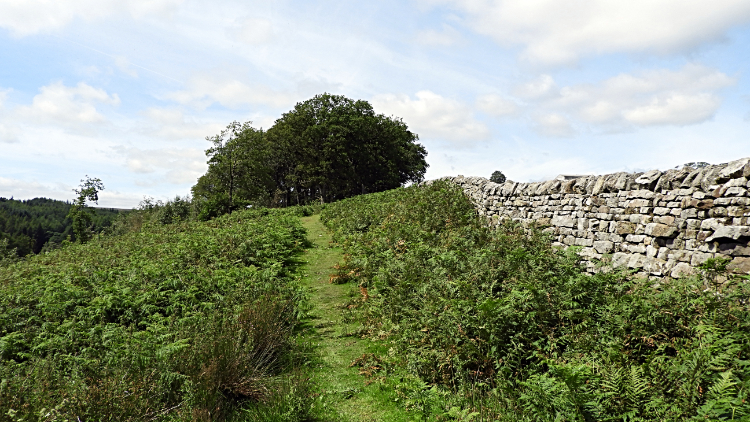 The path at Stang Brae