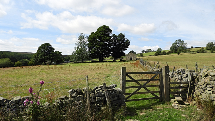 Crossing fields to Bents House