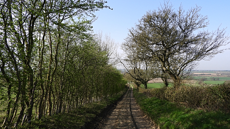 Descending to Barton Bridge