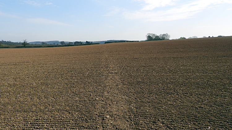 The path across the fields