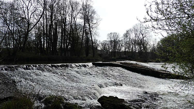 Weir at Howsham Mill