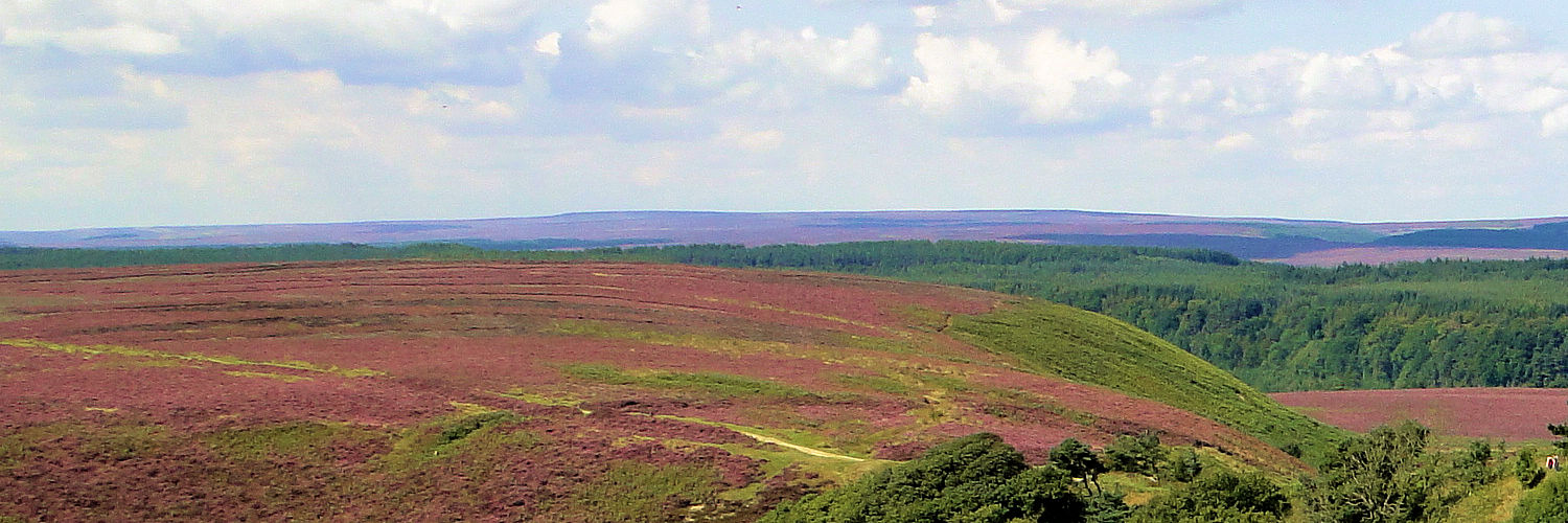 Goathland Moor