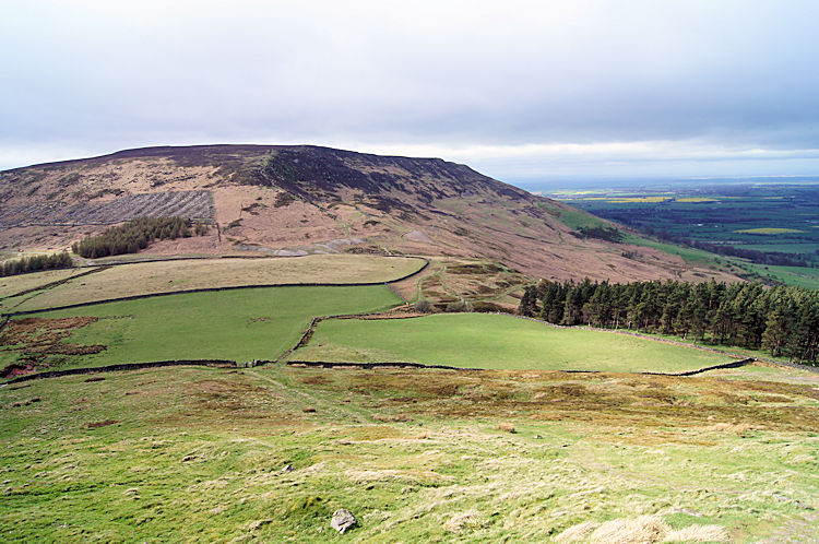 Cringle Moor