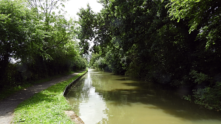 Grand Union Canal near Debdale Wharf