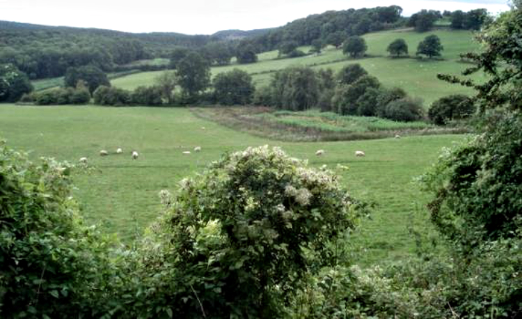 Backbury Hill