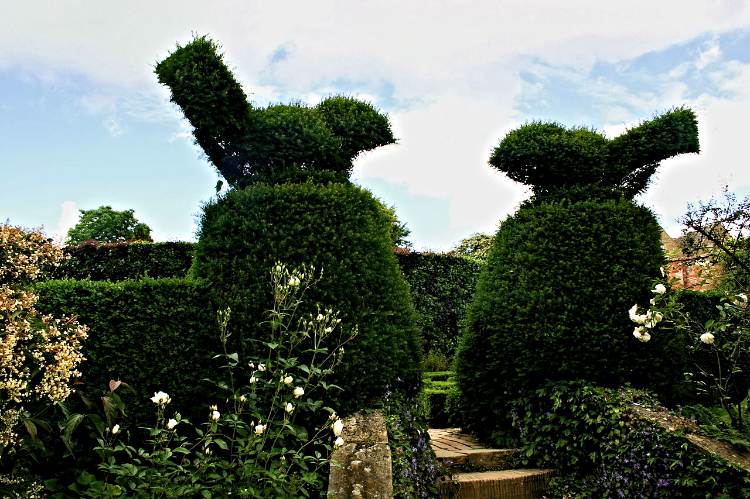 Topiary birds at Hidcote Gardens