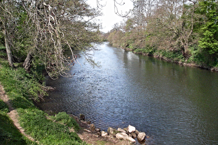 River Derwent