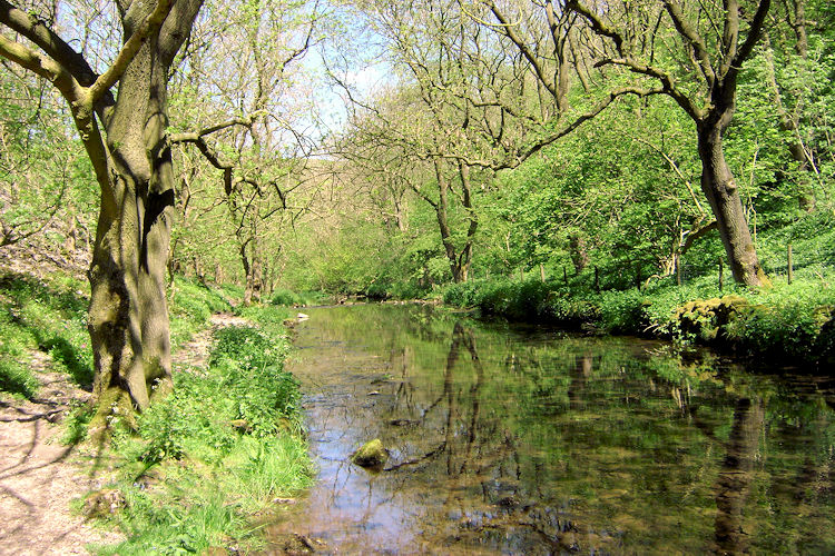 River Lathkill