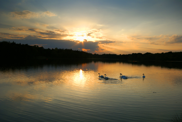 Cole Mere at dusk