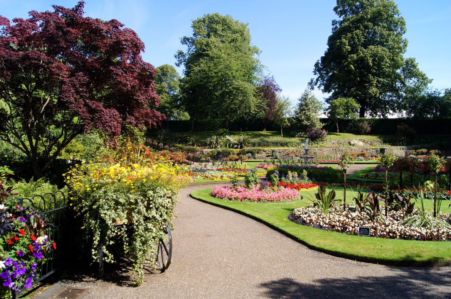 The Dingle Botanical Park