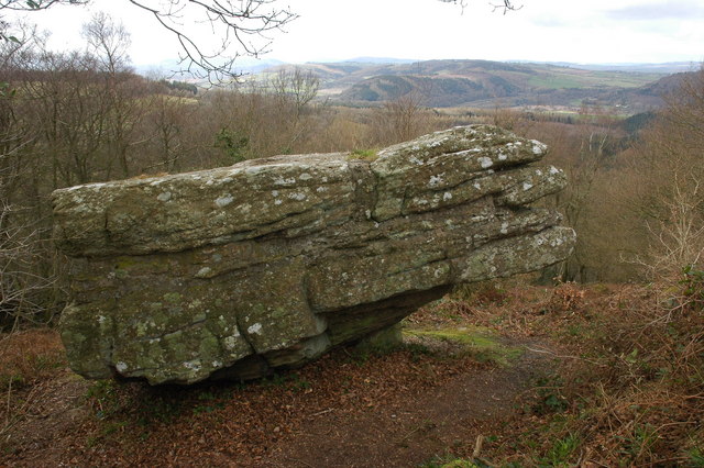 The Buck Stone