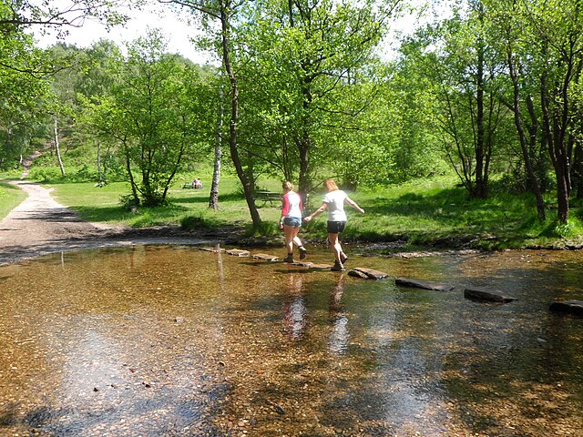 Stepping Stones across Sher Brook