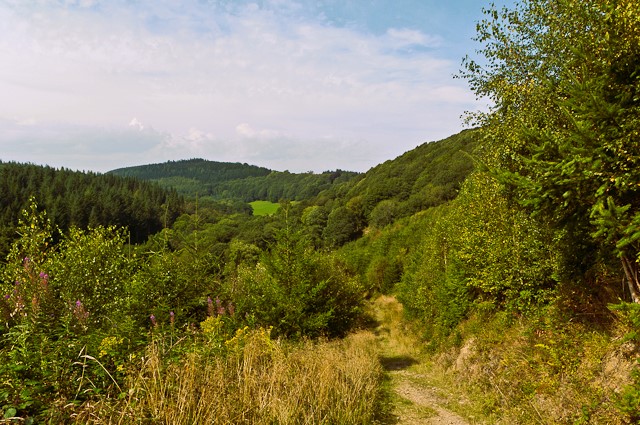 Mary Knoll Valley