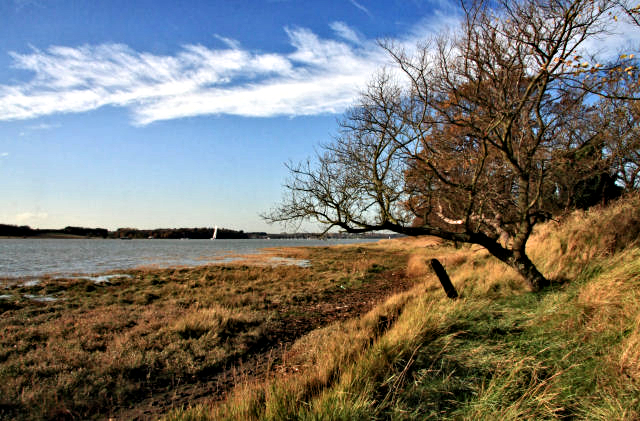 River Orwell