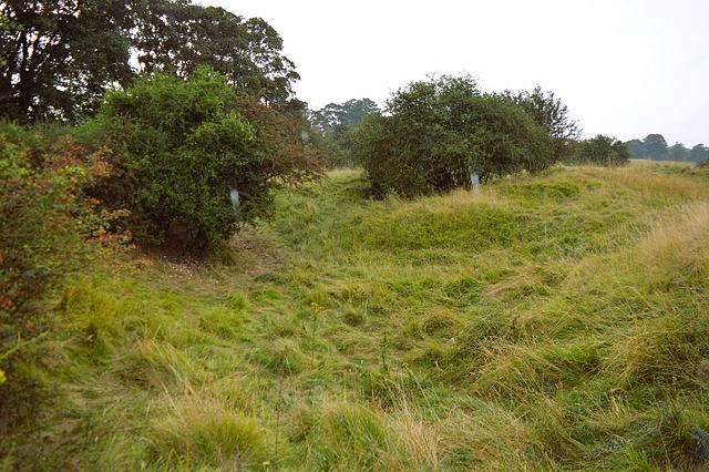 Sutton Heath and Bog