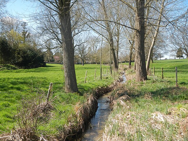 Walthambury Brook near Pleshey