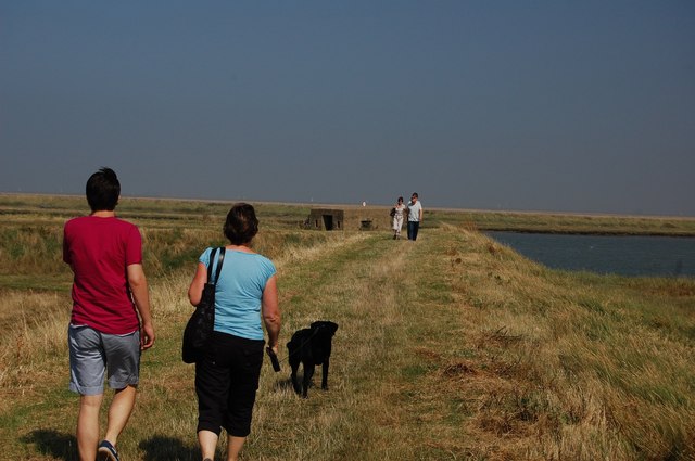 Walking alongside the River Roach