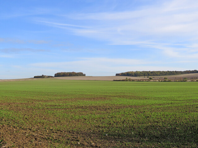 View from the Roman Road to Meg's Hill and Signal Hill