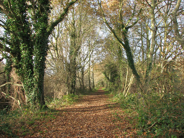 Weavers Way from Honing to Briggate