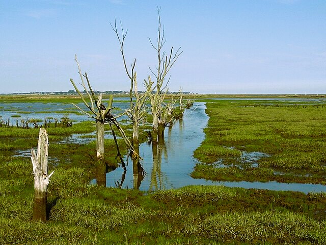 Tollesbury Wick