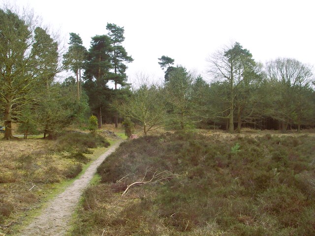 The path through Blaxhall Common