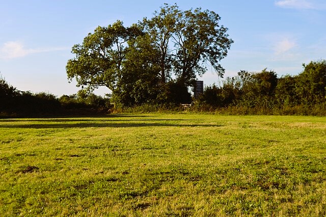 Hemingford Grey Meadow