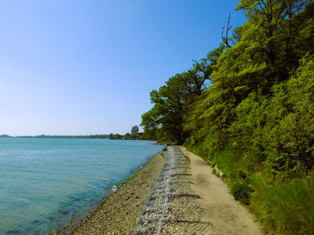 Erwarton Bay on the River Stour