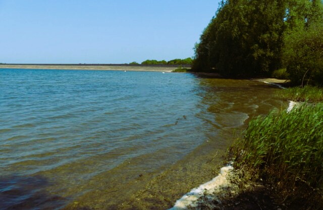 Grafham Water