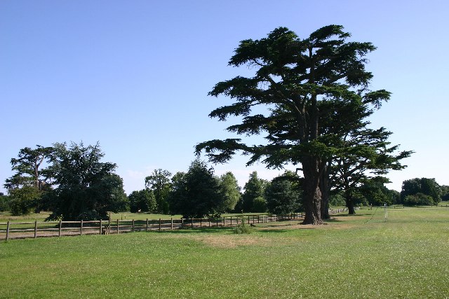 Hardwick Heath