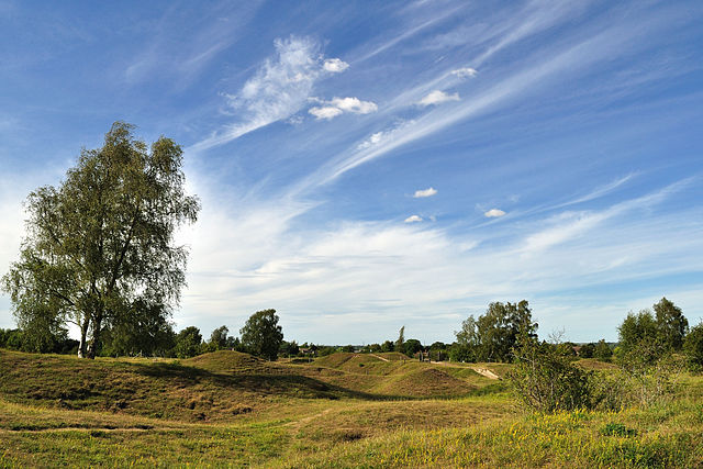 Barnack Hills and Holes National Nature Reserve