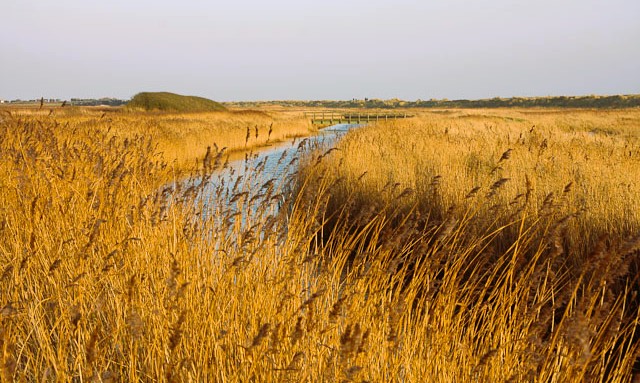 Dunwich River near Walberswick