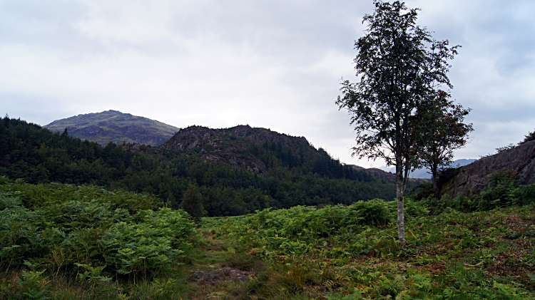 Low fell at Wrayslack