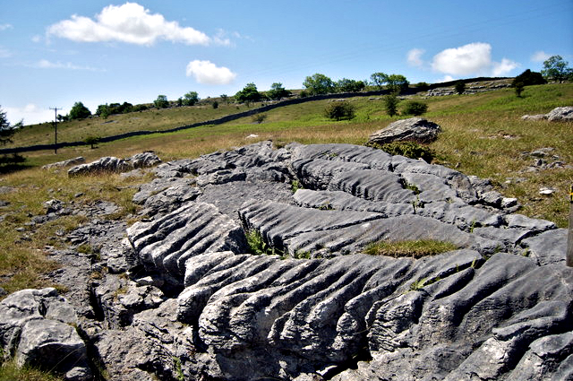 Limestone on Hampsfell