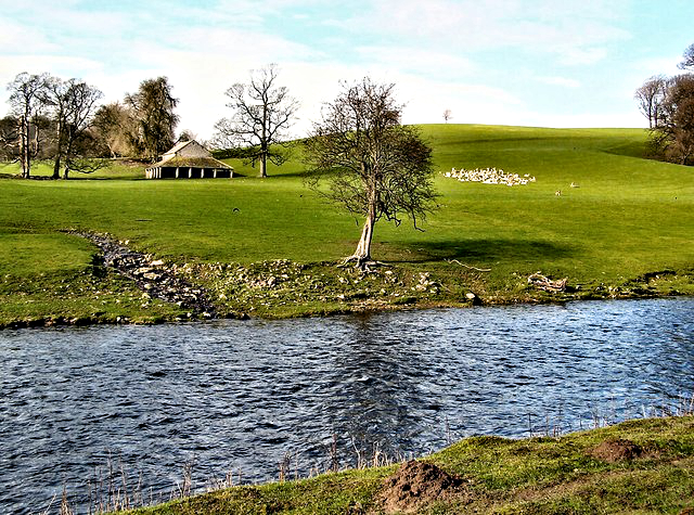 Dallam Tower Deer Park