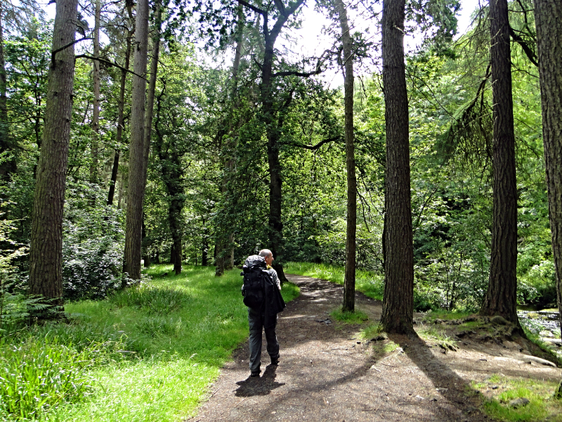 Hiking in Hebden Dale