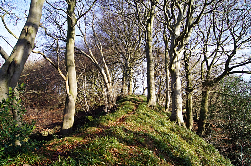 Bailey Hill, High Bradfield