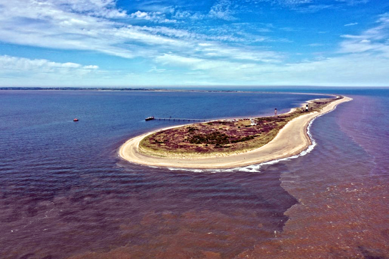 Spurn Head