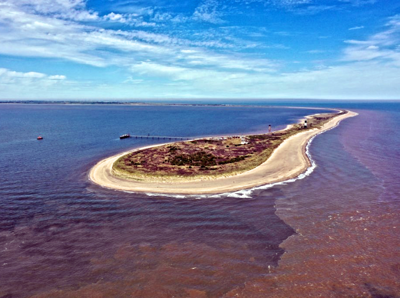 Spurn Head