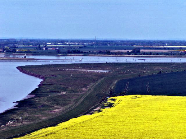 Alkborough Flats