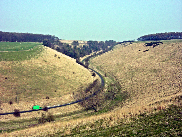 Pasture Dale