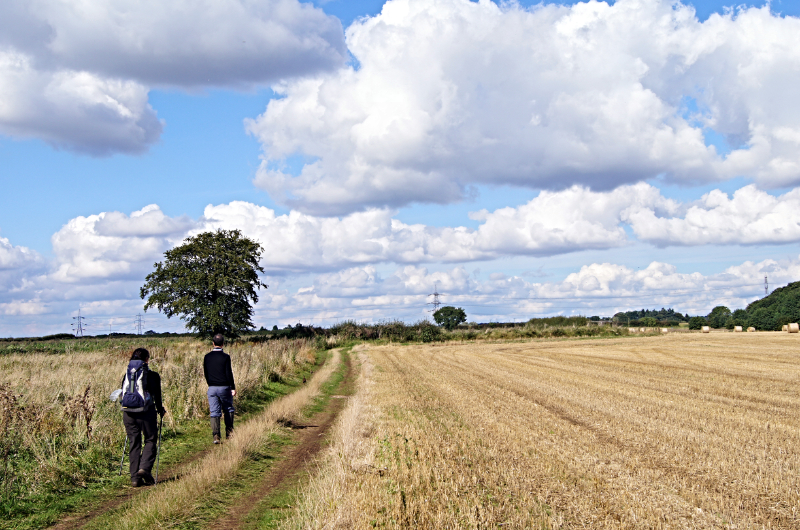 The path from Melbourne towards Thornton