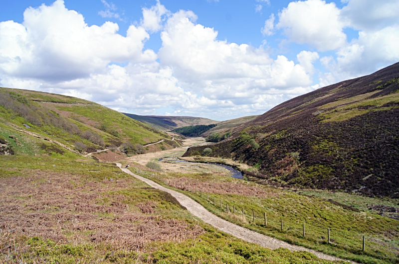 Forest of Bowland