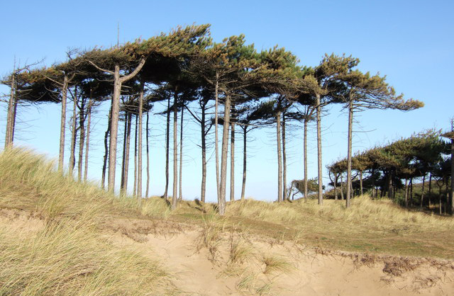 Formby Hills