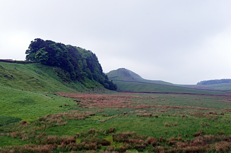 Cuddy's Crags