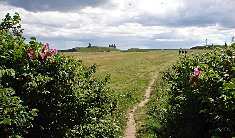 Walking from Embleton Bay to Dunstanburgh