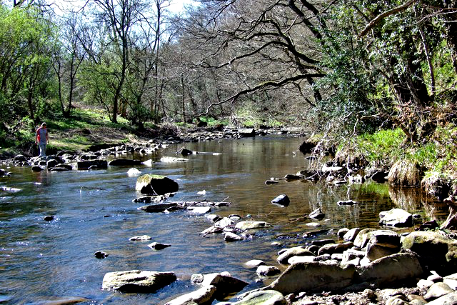 River Derwent